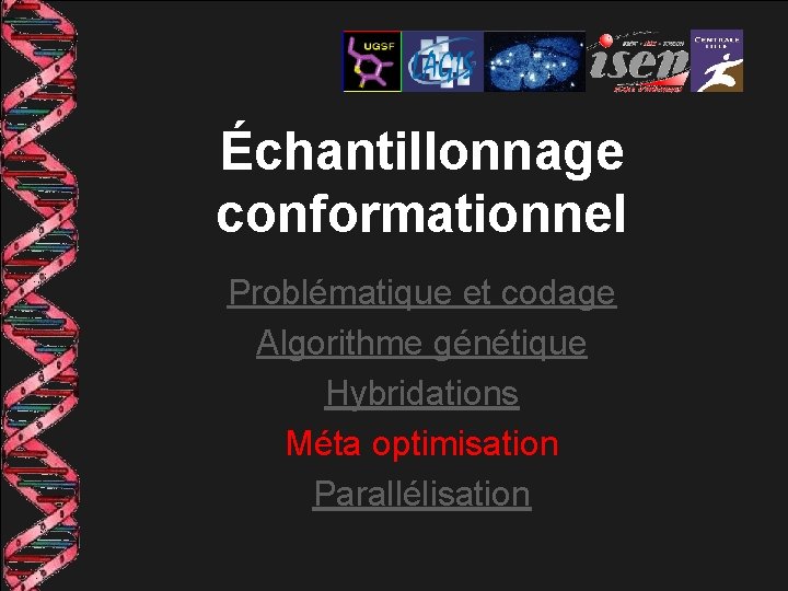 Échantillonnage conformationnel Problématique et codage Algorithme génétique Hybridations Méta optimisation Parallélisation 