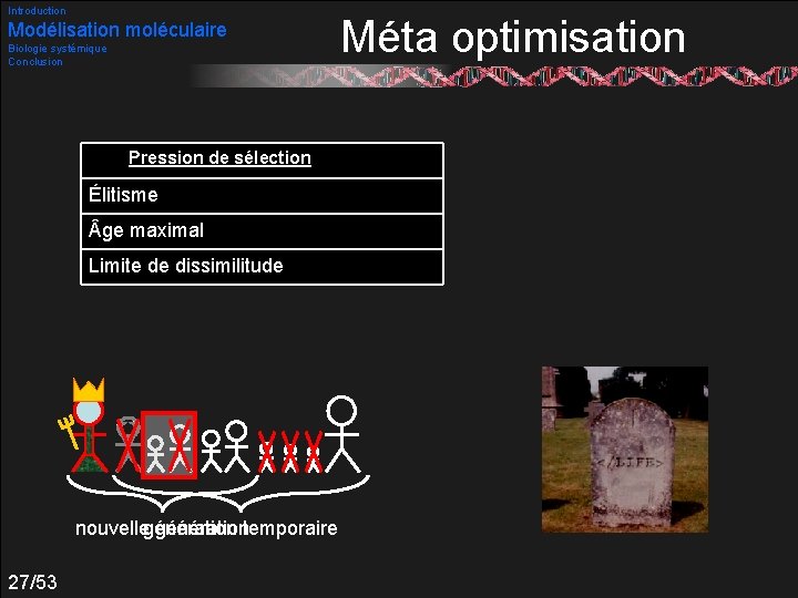 Introduction Modélisation moléculaire Biologie systémique Conclusion Pression de sélection Élitisme ge maximal Limite de