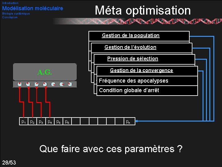 Introduction Méta optimisation Modélisation moléculaire Biologie systémique Conclusion Gestion de la population Taille Gestion