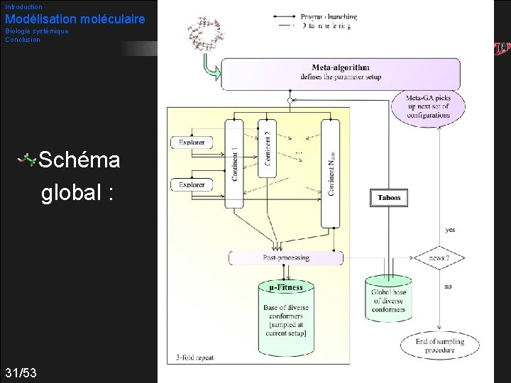 Introduction Modélisation moléculaire Biologie systémique Conclusion Schéma global : 31/53 Méta AG paramétré optimisation