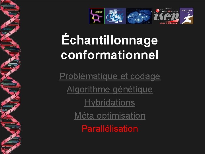 Échantillonnage conformationnel Problématique et codage Algorithme génétique Hybridations Méta optimisation Parallélisation 
