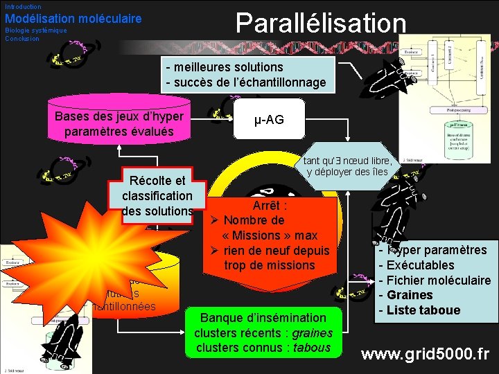 Introduction Parallélisation Modélisation moléculaire Biologie systémique Conclusion - meilleures solutions - succès de l’échantillonnage