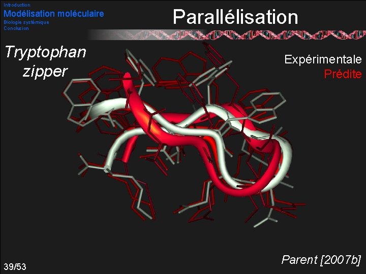 Introduction Modélisation moléculaire Biologie systémique Conclusion Tryptophan zipper 39/53 Parallélisation Expérimentale Prédite Parent [2007