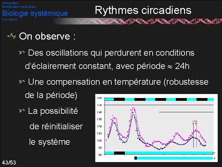 Introduction Modélisation moléculaire Biologie systémique Rythmes circadiens Conclusion On observe : Des oscillations qui