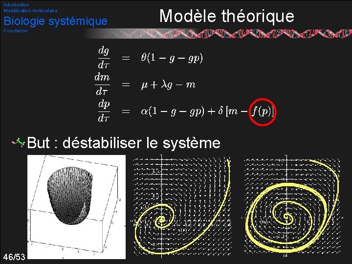 Introduction Modélisation moléculaire Biologie systémique Modèle théorique Conclusion But : déstabiliser le système 46/53