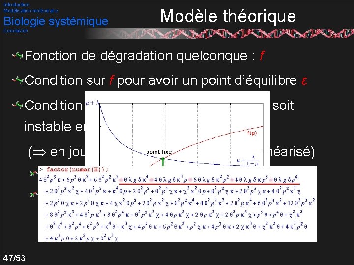 Introduction Modélisation moléculaire Biologie systémique Modèle théorique Conclusion Fonction de dégradation quelconque : f