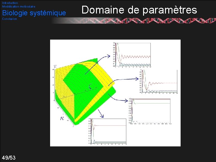 Introduction Modélisation moléculaire Biologie systémique Conclusion 49/53 Domaine de paramètres 
