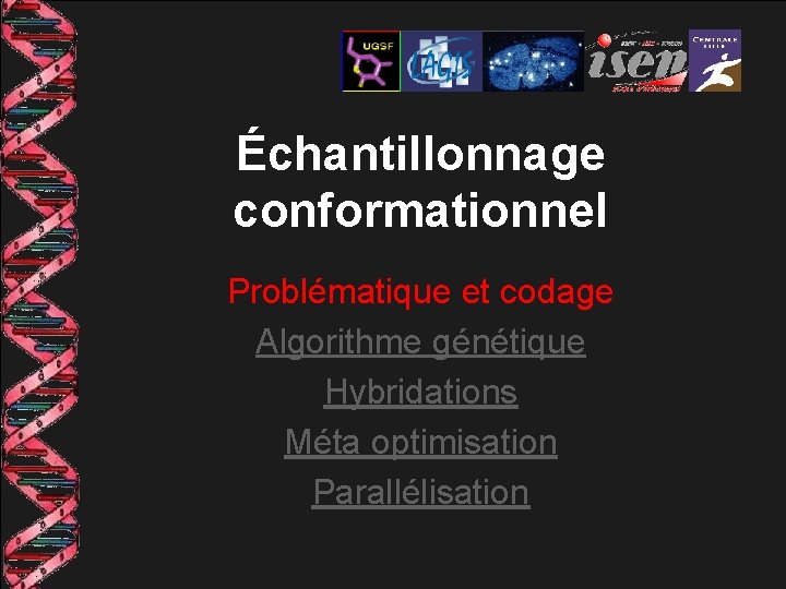 Échantillonnage conformationnel Problématique et codage Algorithme génétique Hybridations Méta optimisation Parallélisation 