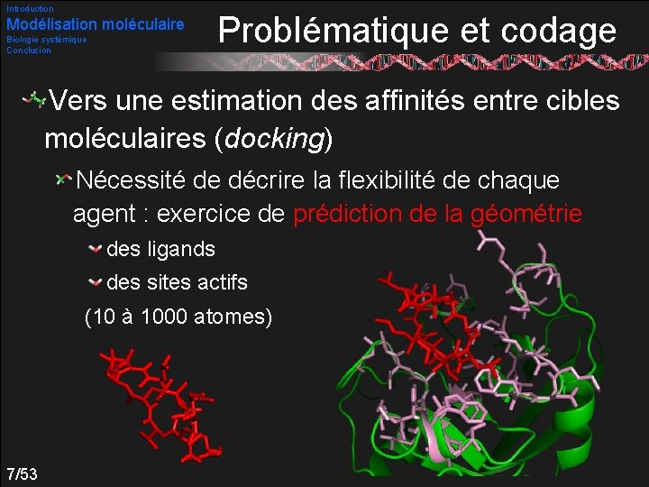 Introduction Modélisation moléculaire Biologie systémique Conclusion Problématique et codage Vers une estimation des affinités
