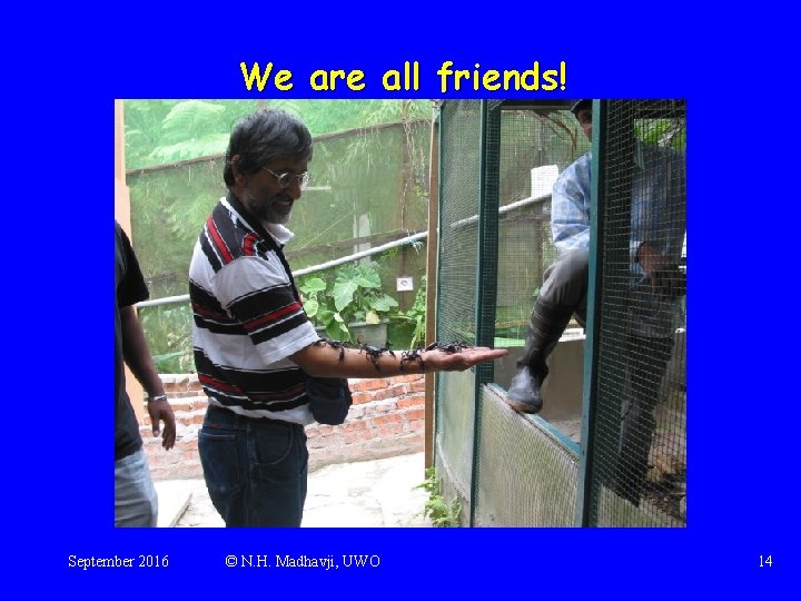 We are all friends! September 2016 © N. H. Madhavji, UWO 14 