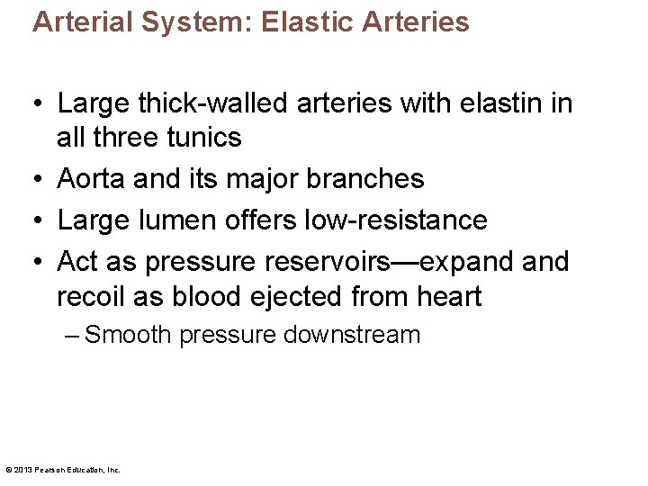 Arterial System: Elastic Arteries • Large thick-walled arteries with elastin in all three tunics