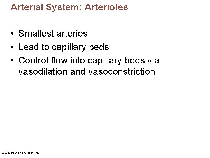 Arterial System: Arterioles • Smallest arteries • Lead to capillary beds • Control flow