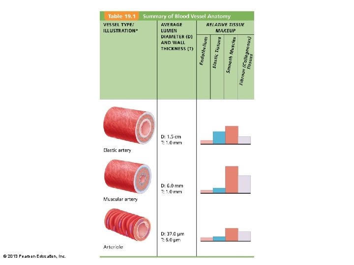 © 2013 Pearson Education, Inc. 