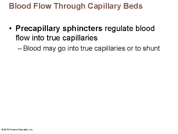 Blood Flow Through Capillary Beds • Precapillary sphincters regulate blood flow into true capillaries