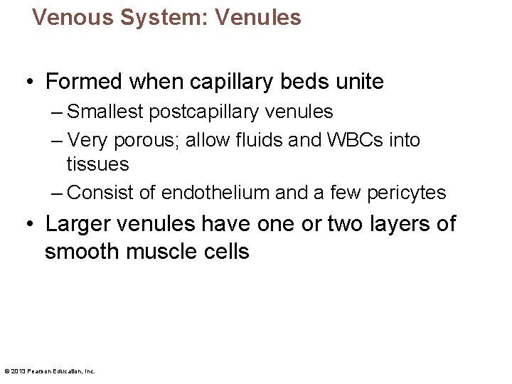 Venous System: Venules • Formed when capillary beds unite – Smallest postcapillary venules –