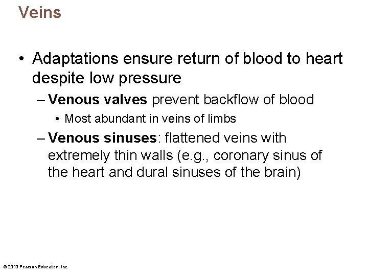 Veins • Adaptations ensure return of blood to heart despite low pressure – Venous