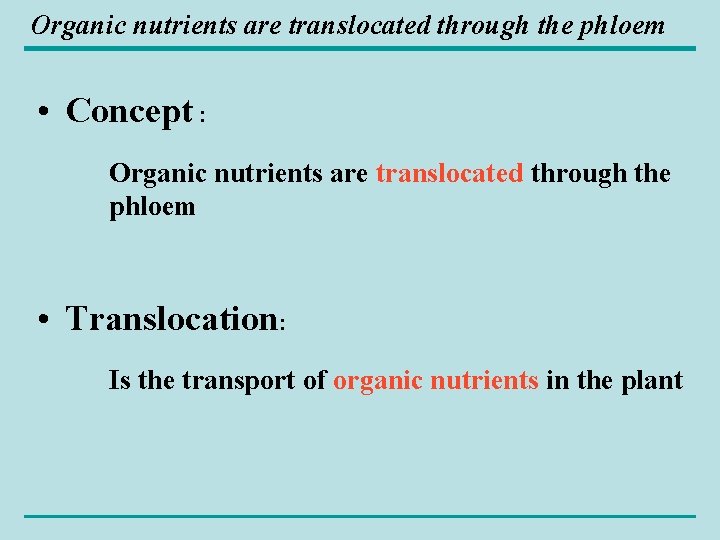 Organic nutrients are translocated through the phloem • Concept : Organic nutrients are translocated