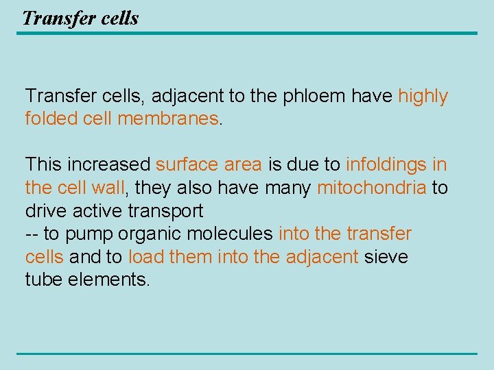 Transfer cells, adjacent to the phloem have highly folded cell membranes. This increased surface