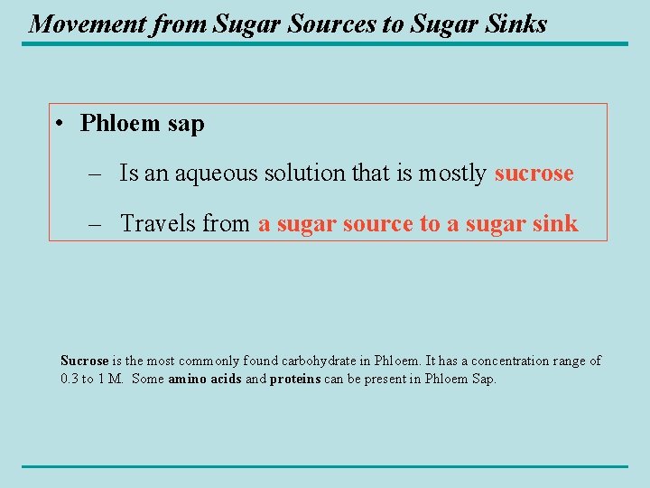Movement from Sugar Sources to Sugar Sinks • Phloem sap – Is an aqueous