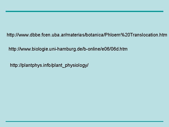 http: //www. dbbe. fcen. uba. ar/materias/botanica/Phloem%20 Translocation. htm http: //www. biologie. uni-hamburg. de/b-online/e 06/06