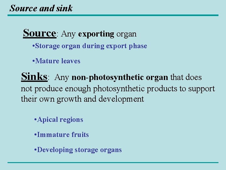 Source and sink Source: Any exporting organ • Storage organ during export phase •