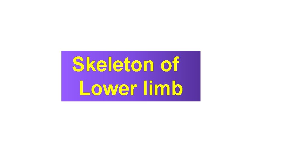 Skeleton of Lower limb 