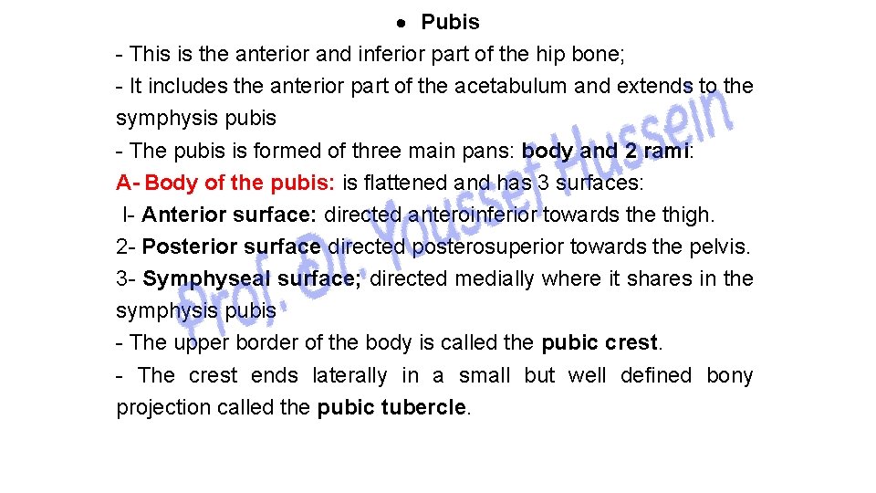  Pubis - This is the anterior and inferior part of the hip bone;