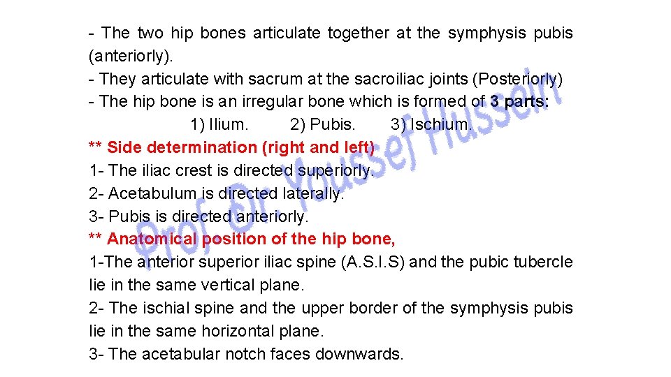 - The two hip bones articulate together at the symphysis pubis (anteriorly). - They