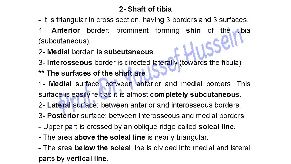 2 - Shaft of tibia - It is triangular in cross section, having 3