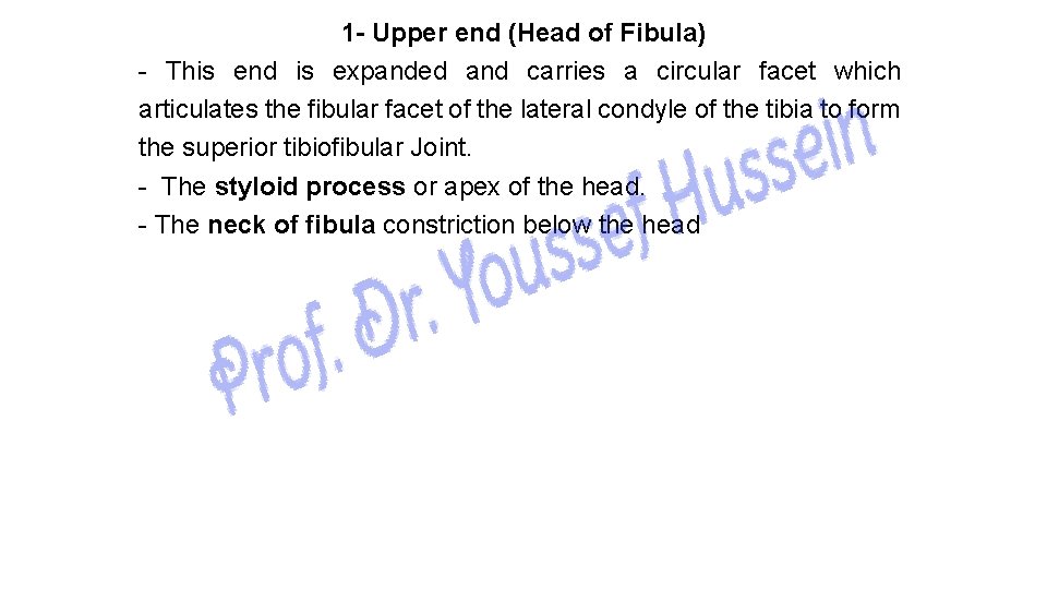 1 - Upper end (Head of Fibula) - This end is expanded and carries
