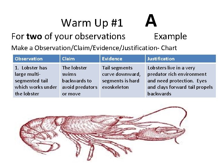 Warm Up #1 For two of your observations A Example Make a Observation/Claim/Evidence/Justification- Chart