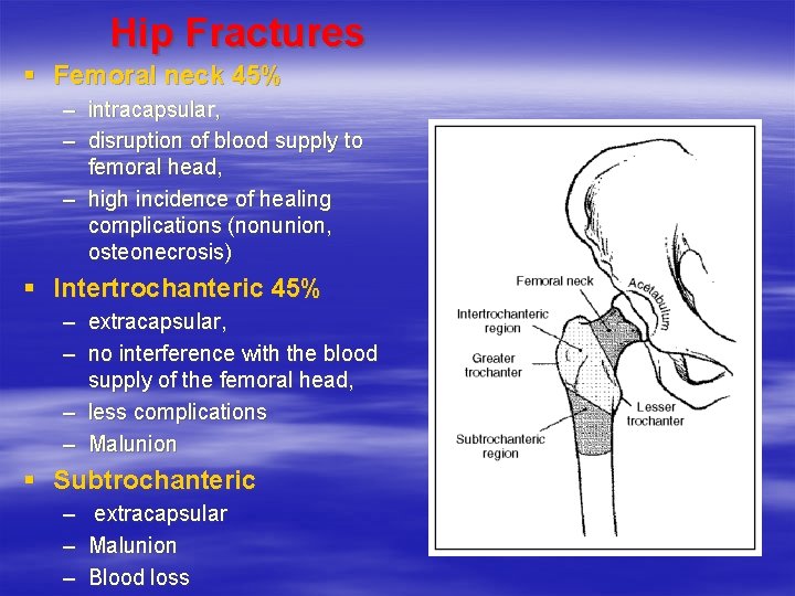 Hip Fractures § Femoral neck 45% – intracapsular, – disruption of blood supply to