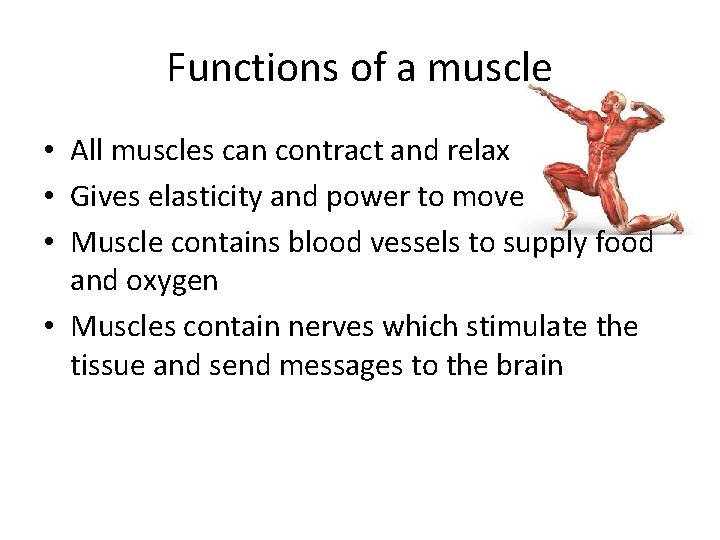 Functions of a muscle • All muscles can contract and relax • Gives elasticity