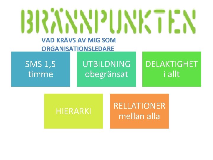 VAD KRÄVS AV MIG SOM ORGANISATIONSLEDARE SMS 1, 5 timme UTBILDNING obegränsat HIERARKI DELAKTIGHET