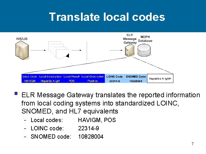 Translate local codes Hepatitis A Ig. M+ § ELR Message Gateway translates the reported