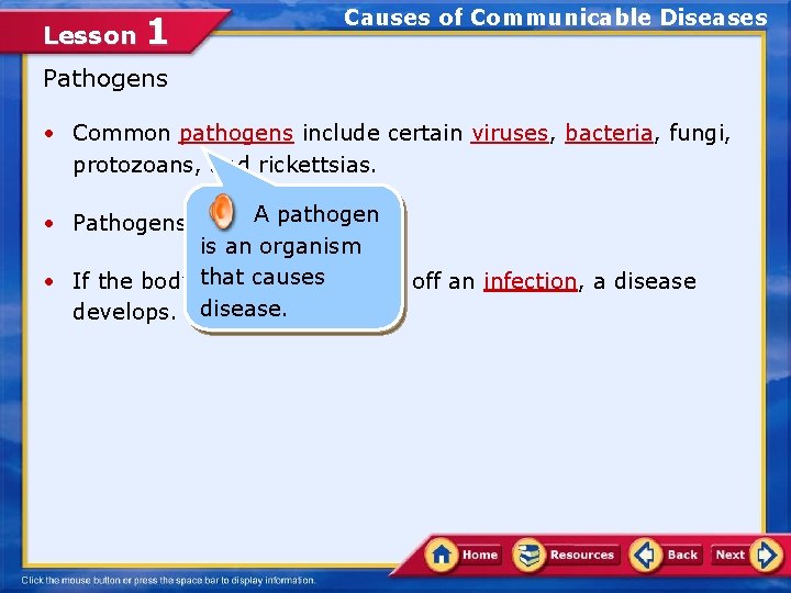 Lesson 1 Causes of Communicable Diseases Pathogens • Common pathogens include certain viruses, bacteria,