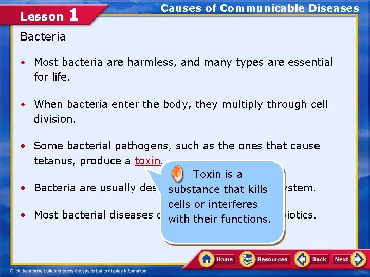 Lesson 1 Causes of Communicable Diseases Bacteria • Most bacteria are harmless, and many