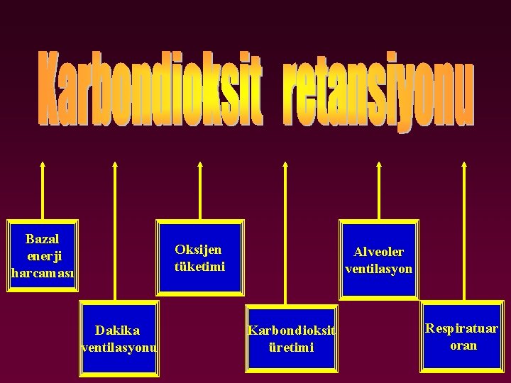 Bazal enerji harcaması Oksijen tüketimi Dakika ventilasyonu Alveoler ventilasyon Karbondioksit üretimi Respiratuar oran 