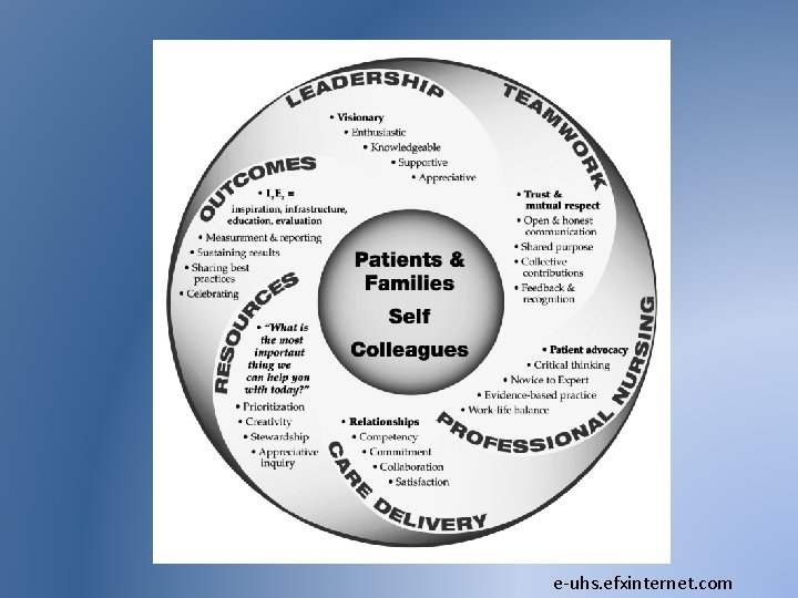 e-uhs. efxinternet. com 