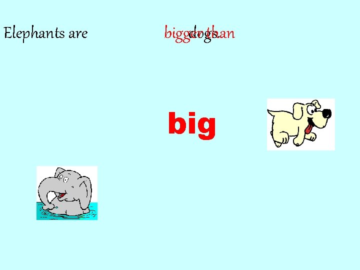 Elephants are bigger dogs. than big 