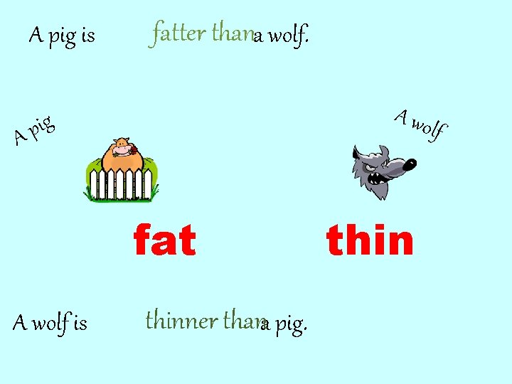 A pig is A fatter thana wolf. A wo pig lf fat A wolf