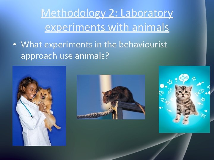 Methodology 2: Laboratory experiments with animals • What experiments in the behaviourist approach use