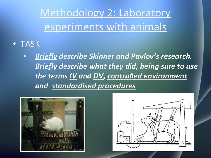 Methodology 2: Laboratory experiments with animals • TASK • Briefly describe Skinner and Pavlov’s