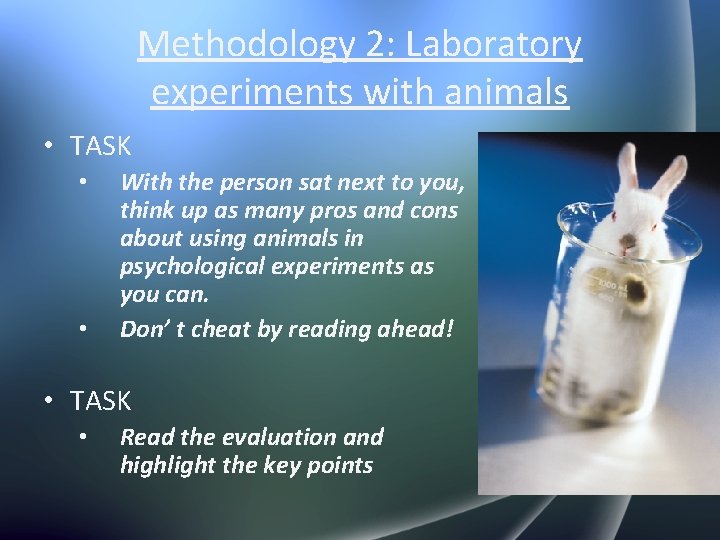 Methodology 2: Laboratory experiments with animals • TASK • • With the person sat