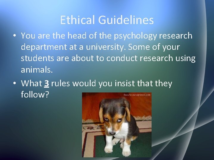 Ethical Guidelines • You are the head of the psychology research department at a
