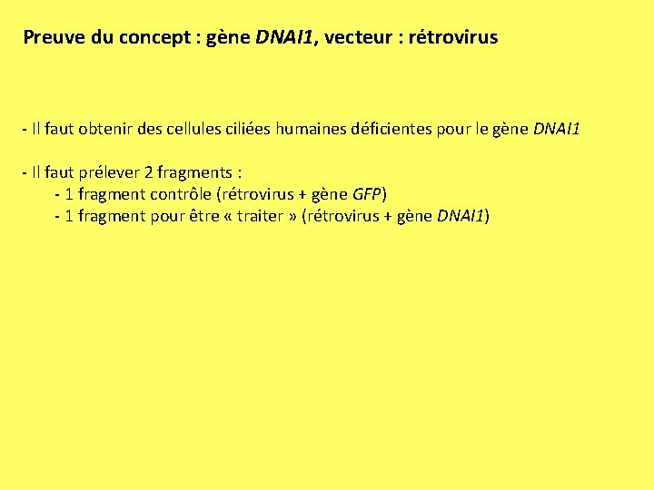 Preuve du concept : gène DNAI 1, vecteur : rétrovirus - Il faut obtenir