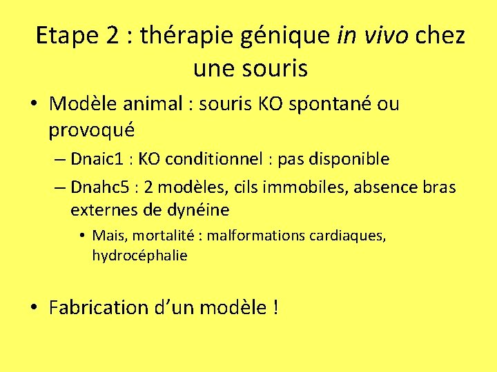 Etape 2 : thérapie génique in vivo chez une souris • Modèle animal :