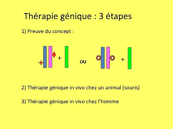 Thérapie génique : 3 étapes 1) Preuve du concept : + OU + 2)