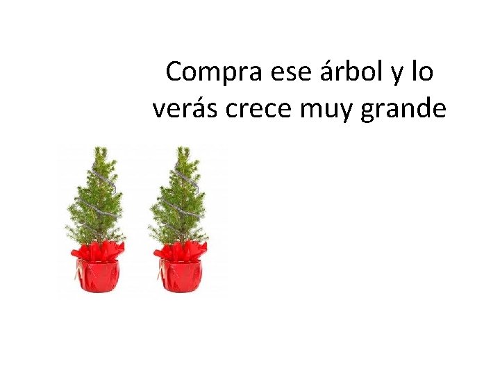 Compra ese árbol y lo verás crece muy grande 