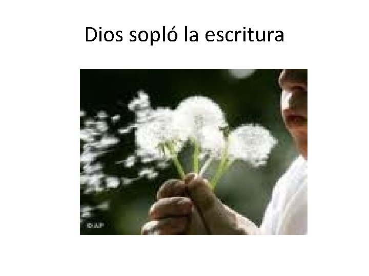 Dios sopló la escritura 